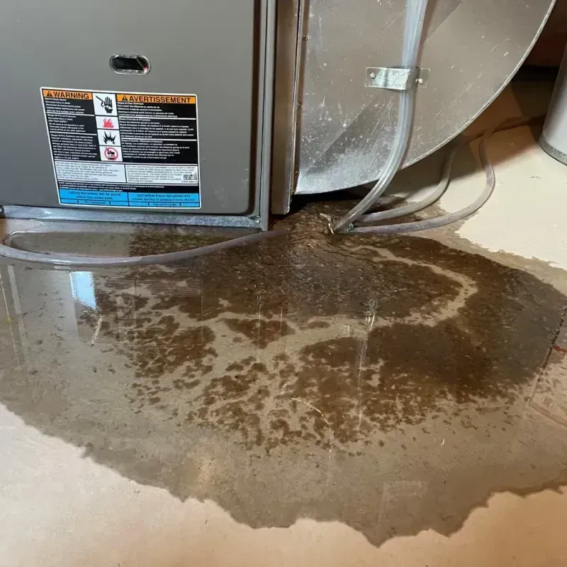 Appliance Leak Cleanup in Vernonia, OR